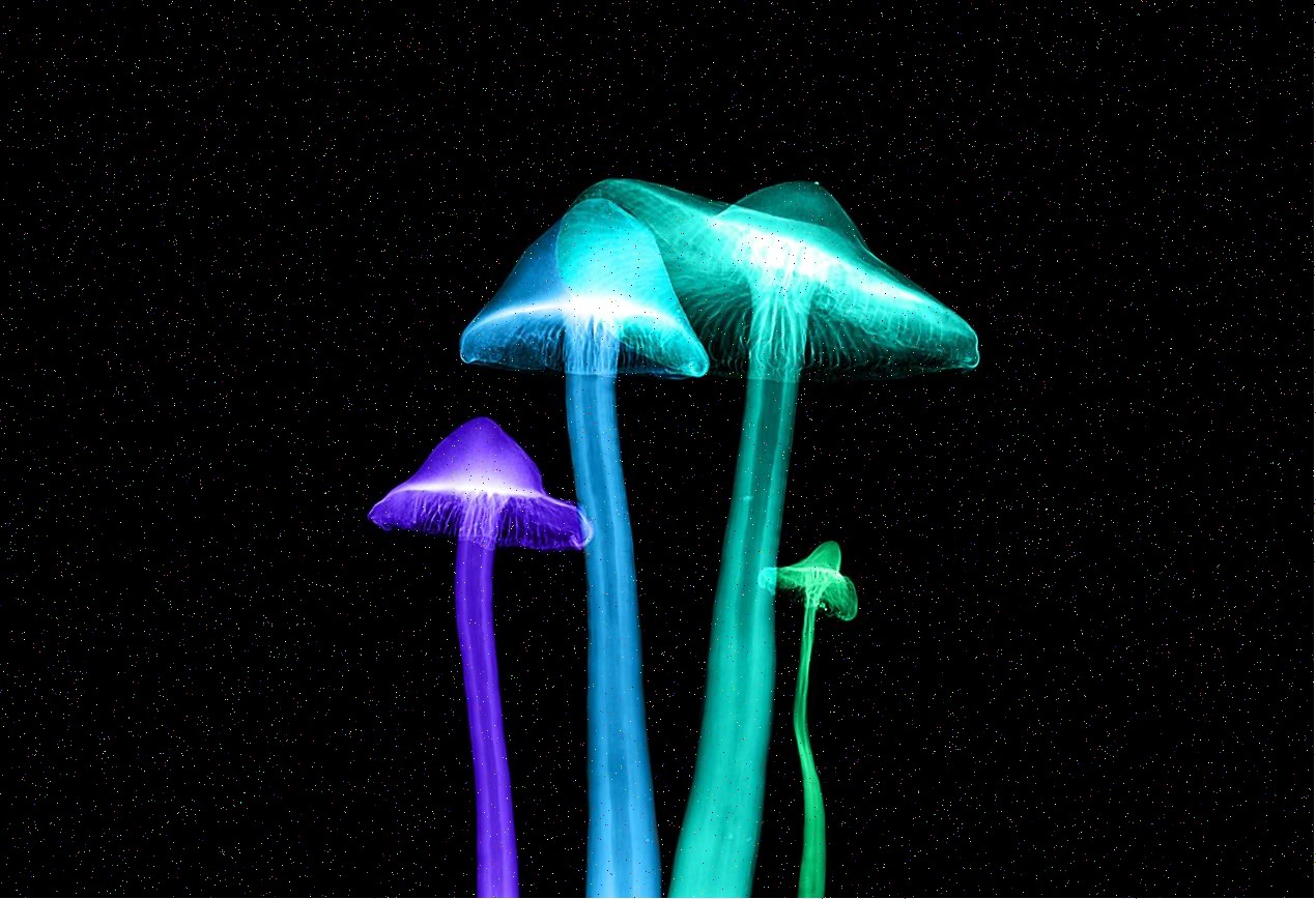 Electrónica automotriz