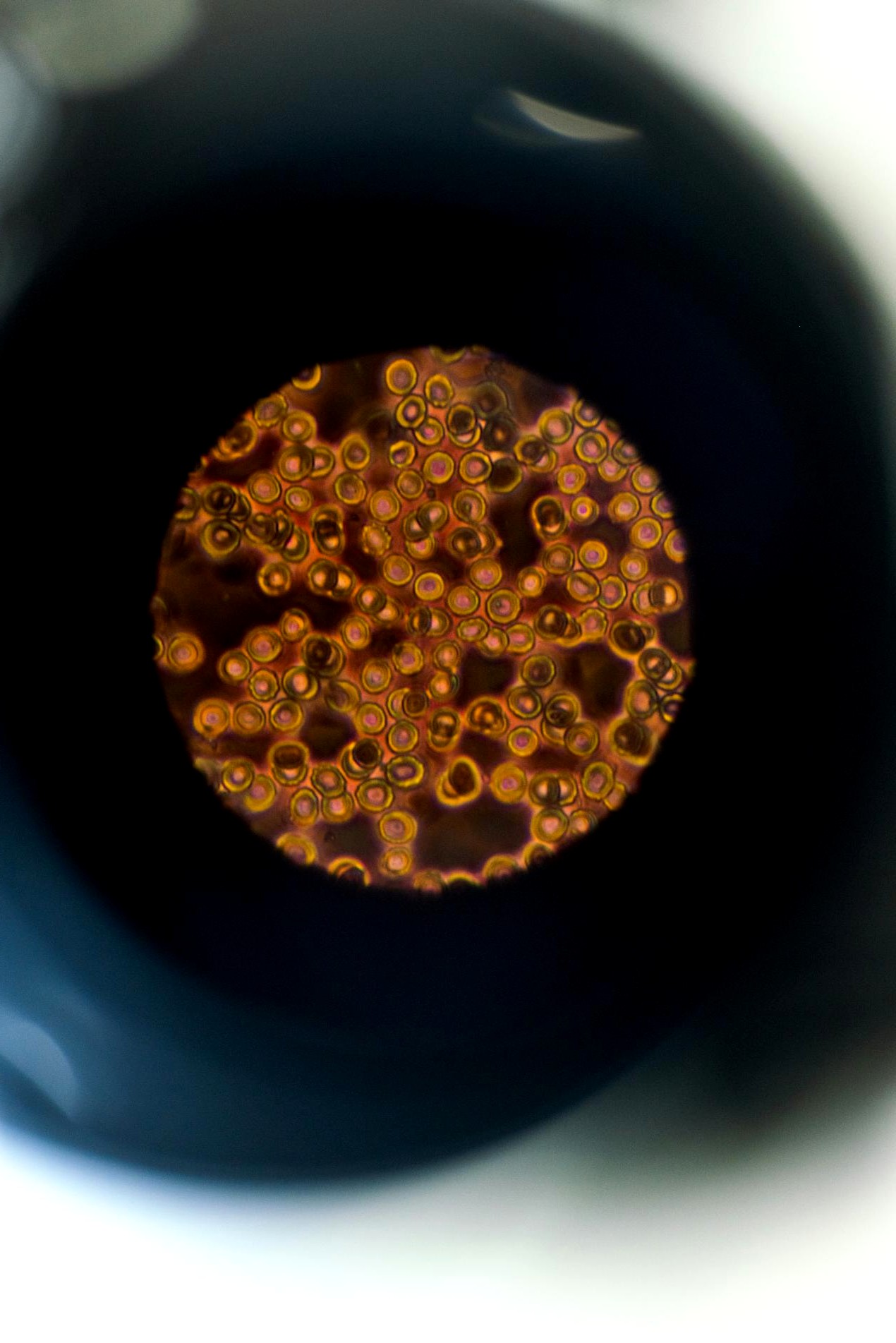 Panel de control campañas retail